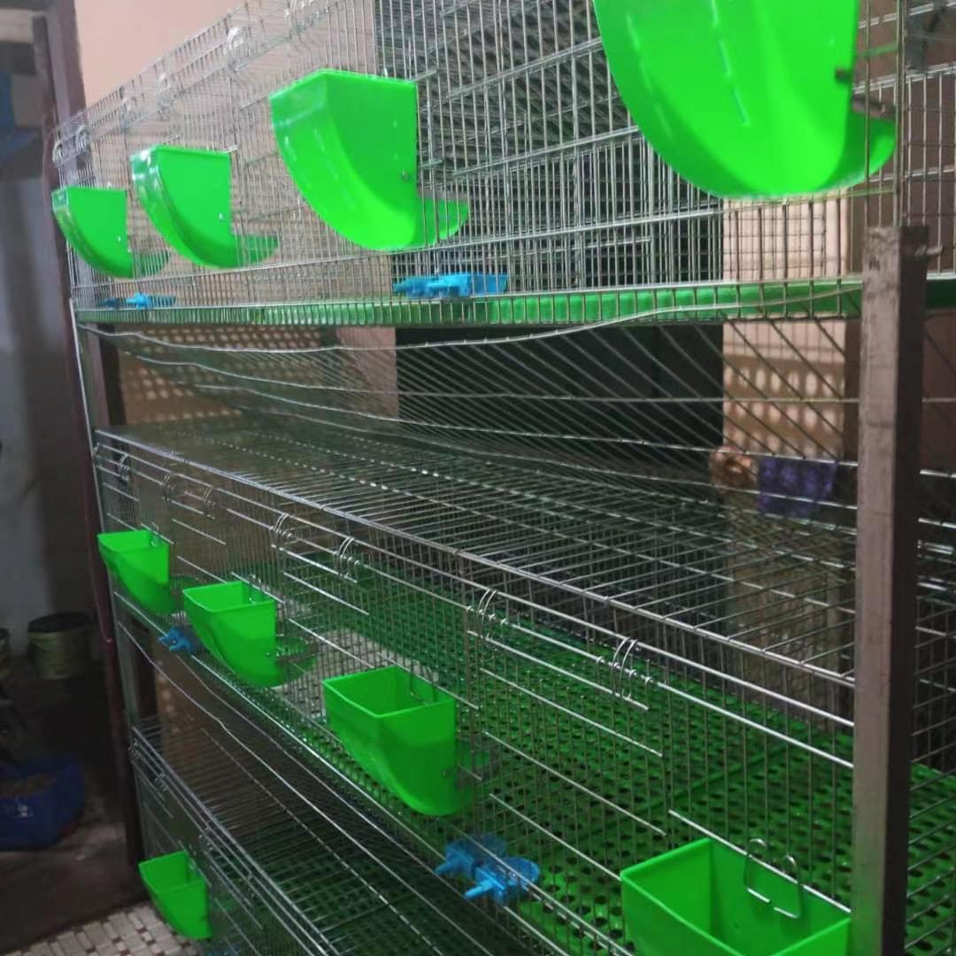 rabbit breeding cage