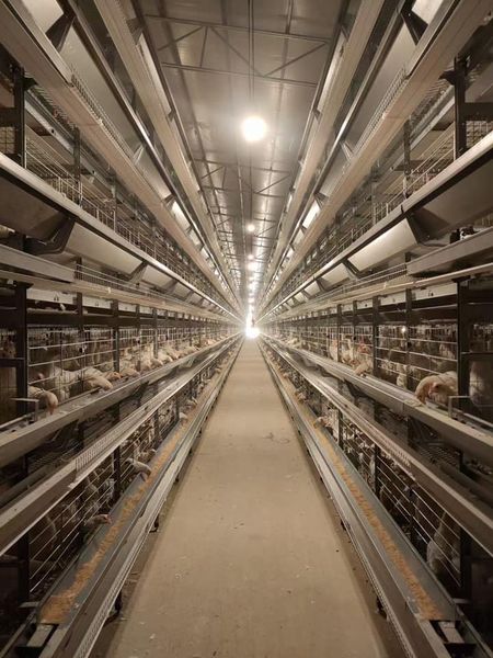 feed grinders and mixers for sale feed grinders and mixers for sale