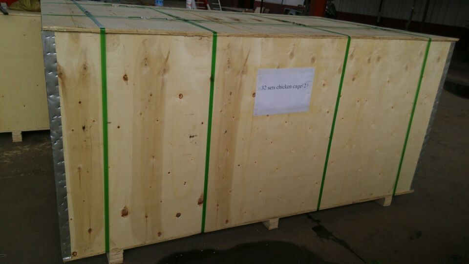 Affordable Chicken Plucker Options for Easy and Efficient Poultry Processing