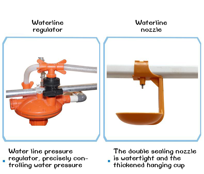 High-Quality Chicken Cages for Sale Ideal for Commercial Farming and Poultry Production