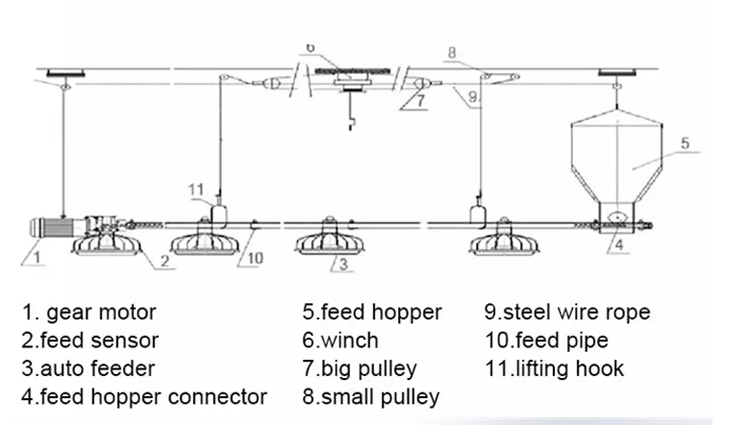 Innovative Designs for Layer Chicken Cages to Enhance Egg Production Efficiency