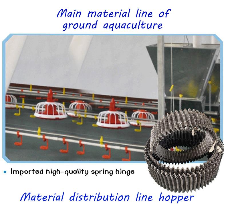 Innovative Designs and Best Practices for Efficient Hog Farrowing Pens in Modern Farming