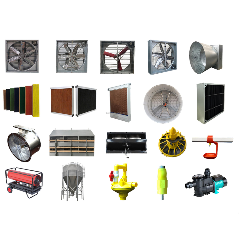 Innovative Cage-Free Systems for Sustainable Poultry Farming Practices