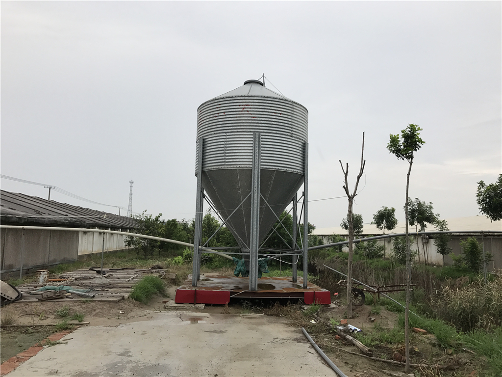 automatic feeding line