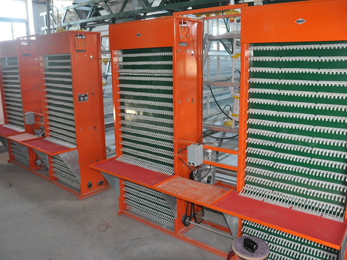 cage system poultry