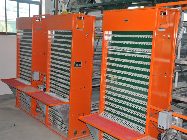 Hot sale 24door  18 doors  rabbit cages