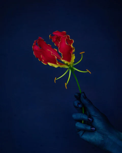 Top Indigo Leather Dye Options for Vibrant and Long-lasting Results