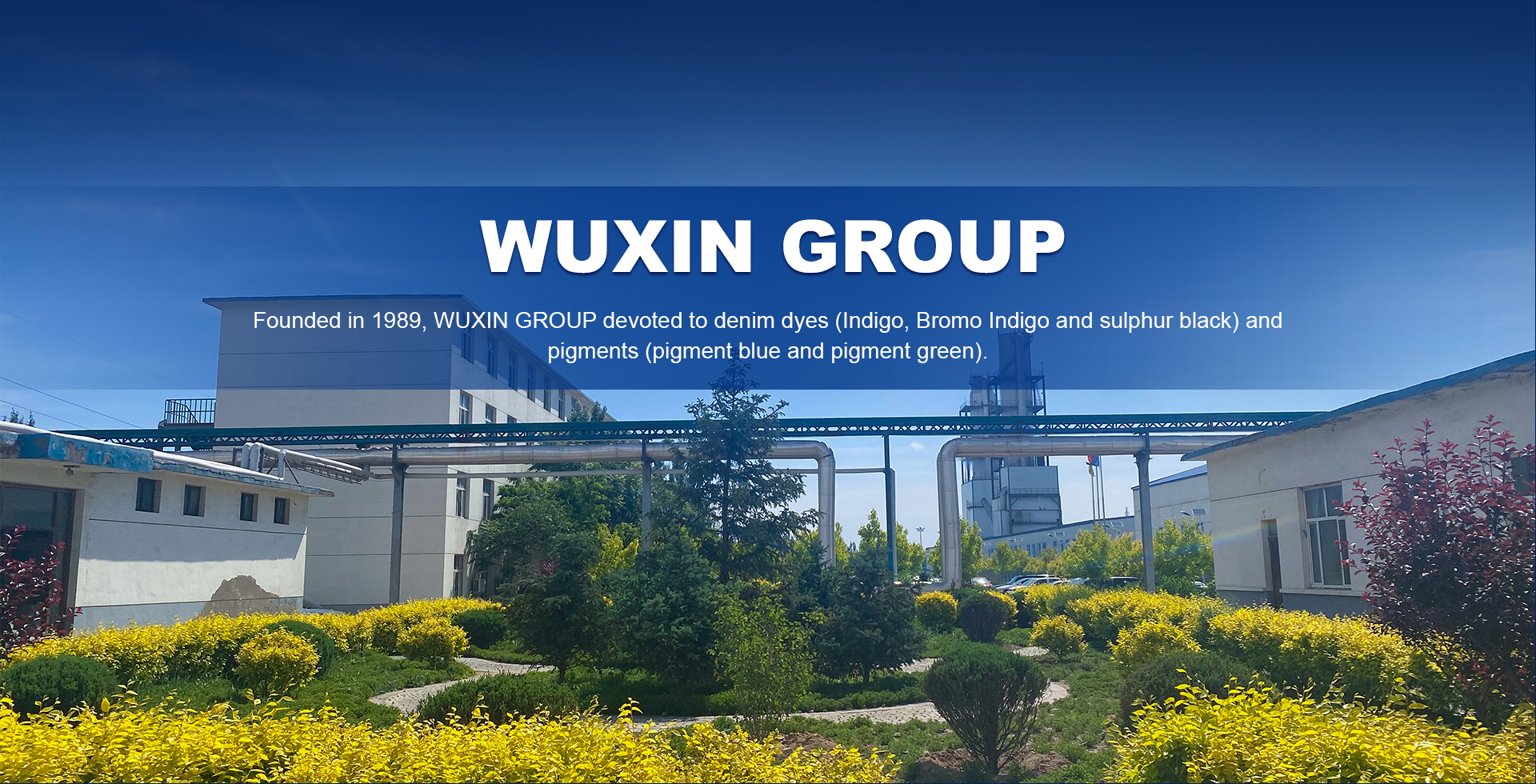 Exploring the Features of ODM VAT Blue 1 and Its Applications in Industry