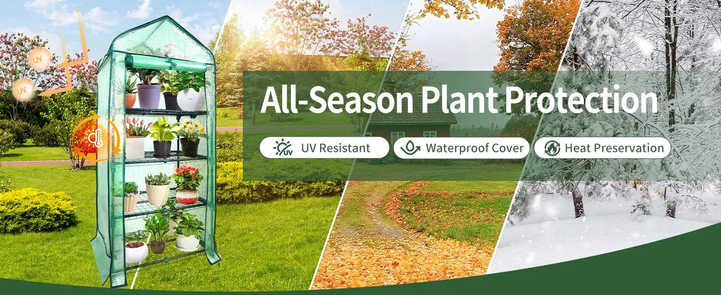 Small Greenhouse with PE Cover