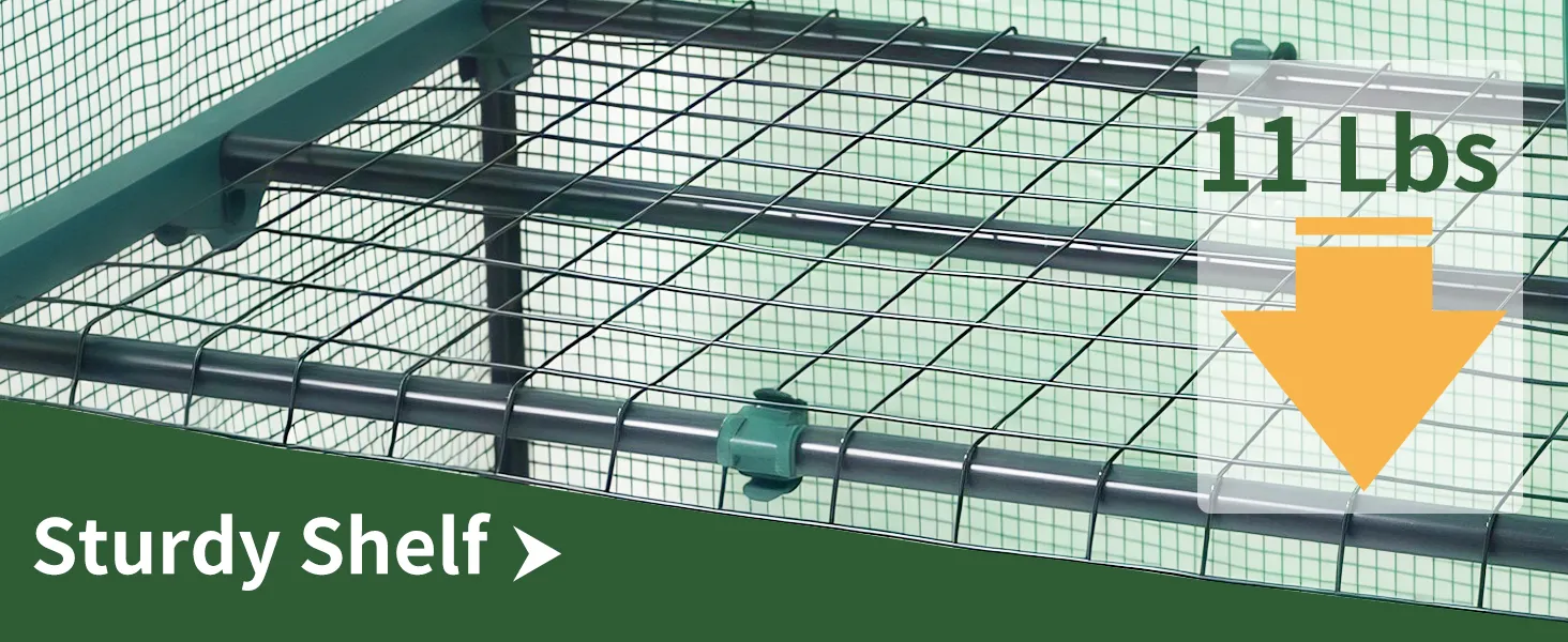 Small Greenhouse with PE Cover