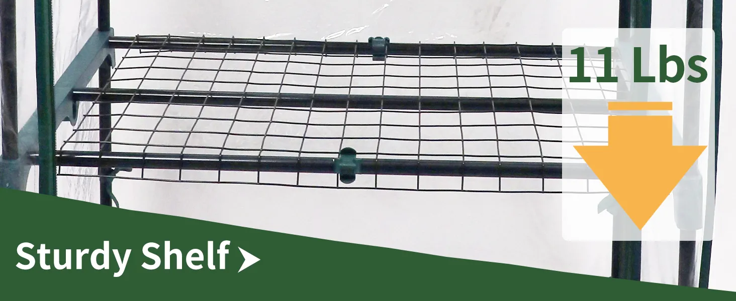 Mini Greenhouse with PVC Cover