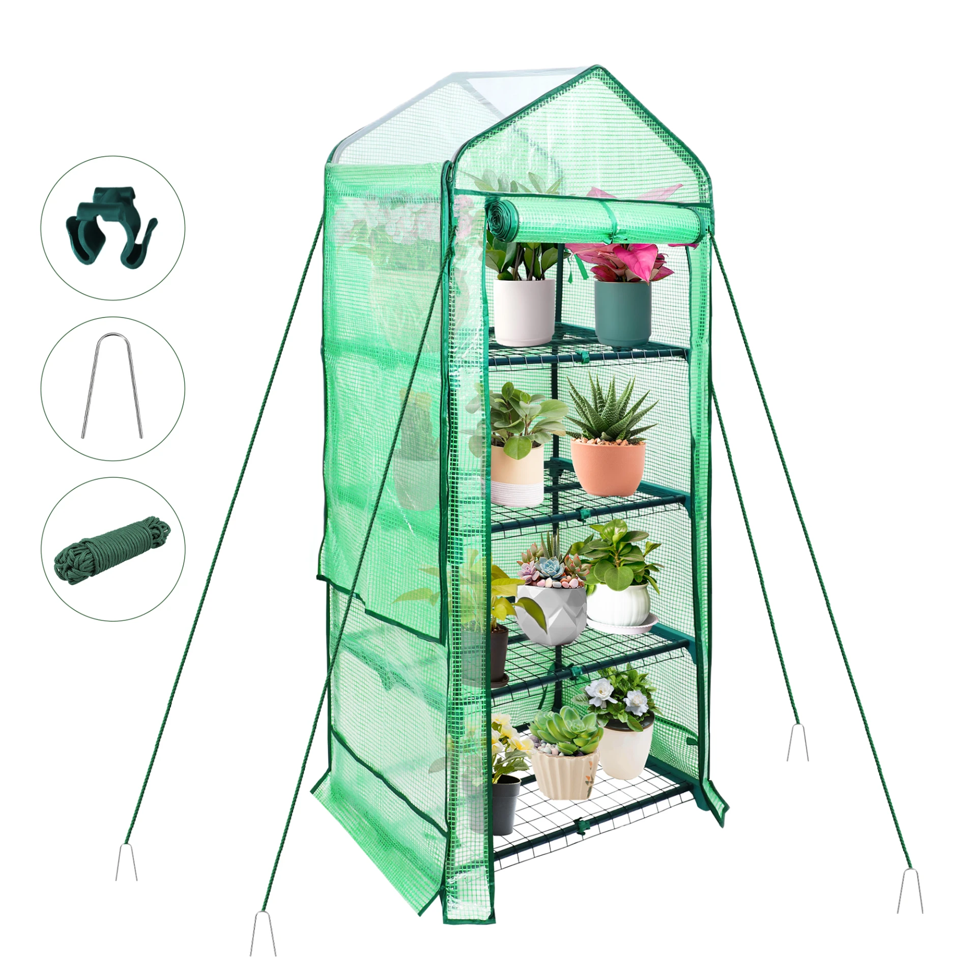 Small Greenhouse with PE Cover