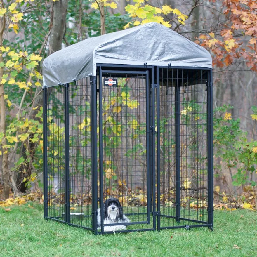Choosing the Right Size Dog Kennel Based on Your Dog's Body Shape for Comfort and Safety