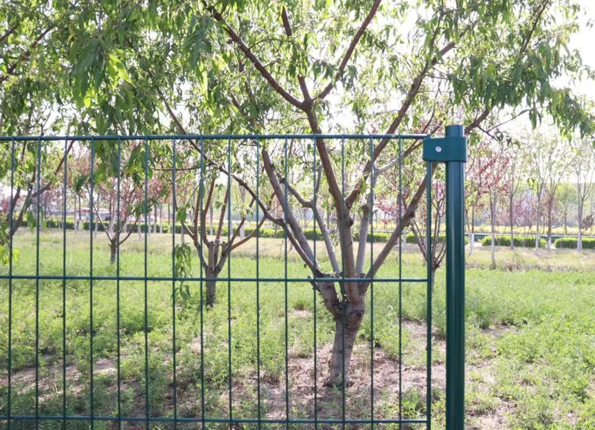 Build Strong, Secure Fence with Quality Metal Posts