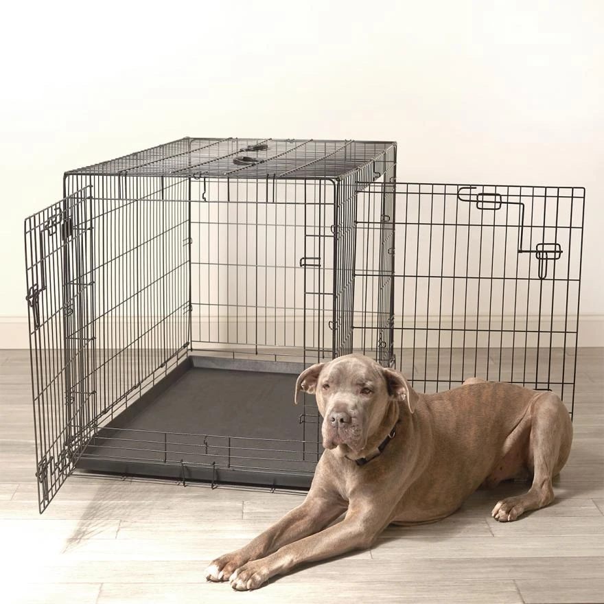 The Complete Guide to Choosing a Large Wire Dog Cage for Your Pet