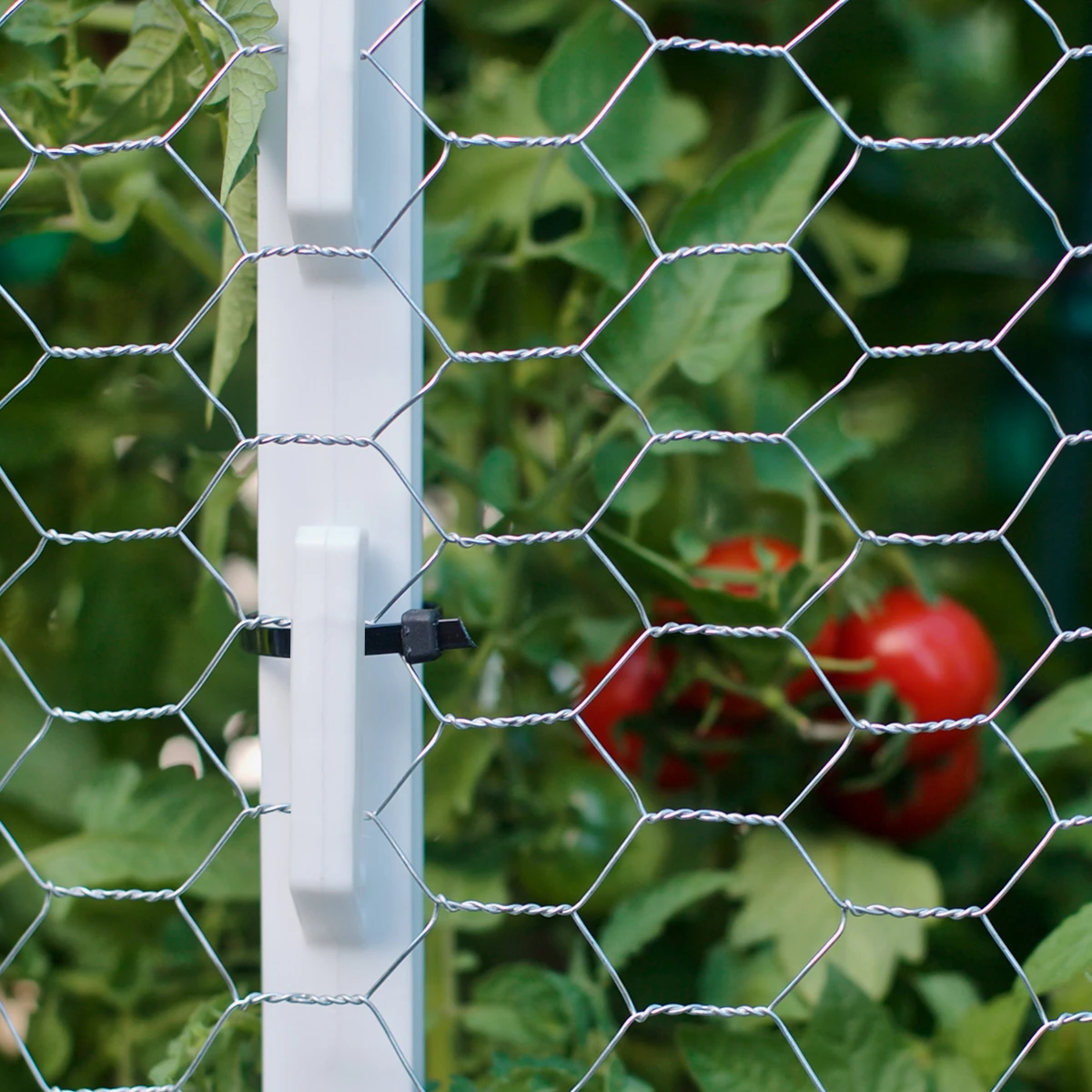 Step-In Poly Fence Posts: The Ultimate Lightweight and Durable Fencing Solution