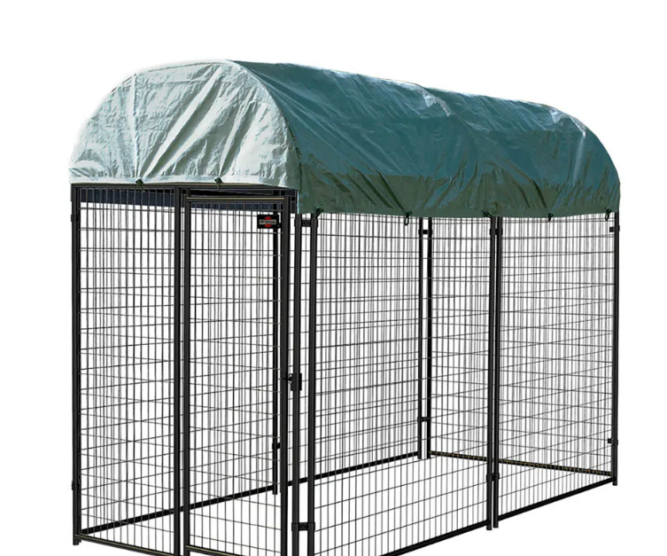 Professional Dog Kennels: Ensuring Quality Care for Your Furry Friend