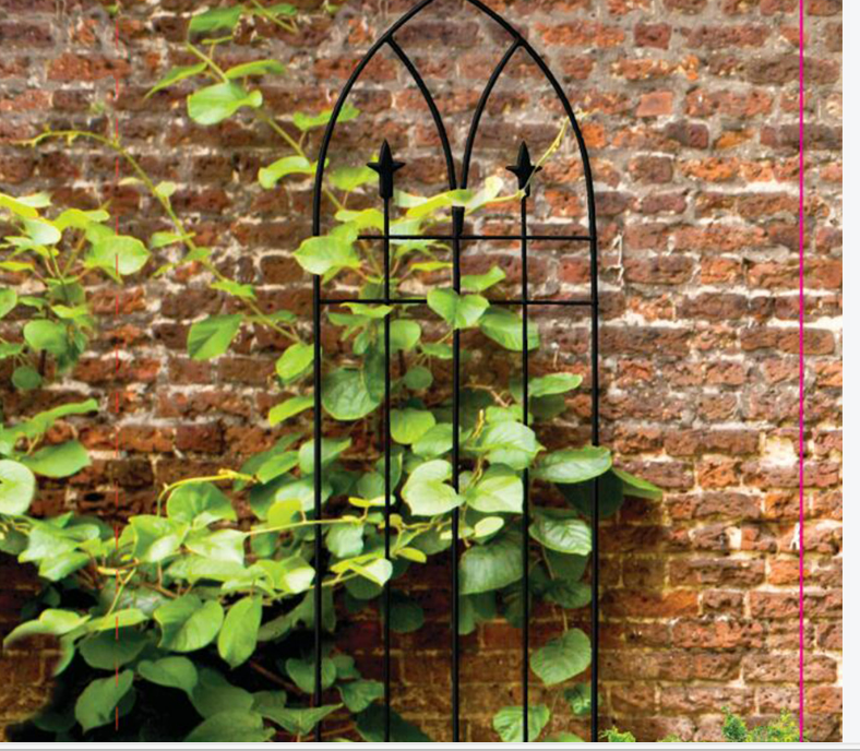Small Flower Pot Trellis: Petite Support for Compact Climbers
