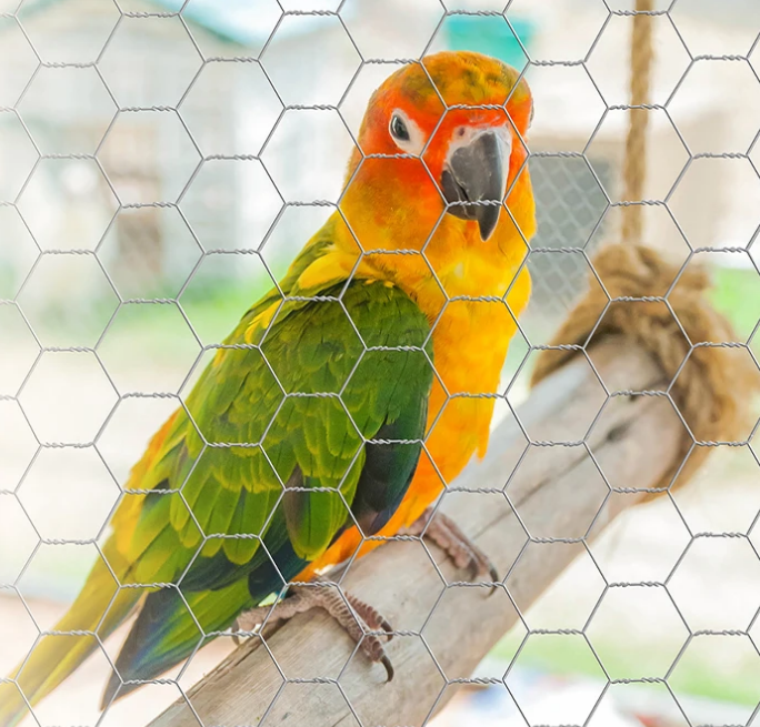 Types and Uses of Wire Mesh
