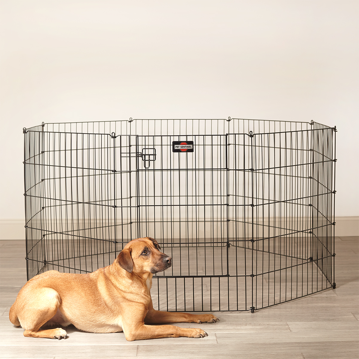 Clear Pet Playpen Innovations Elevate Pet Safety
