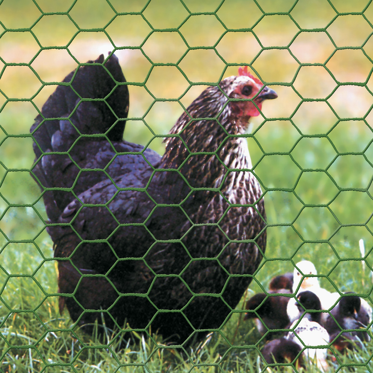 PVC-Coated Fencing and Mesh: A Durable and Aesthetic Choice for Your Needs