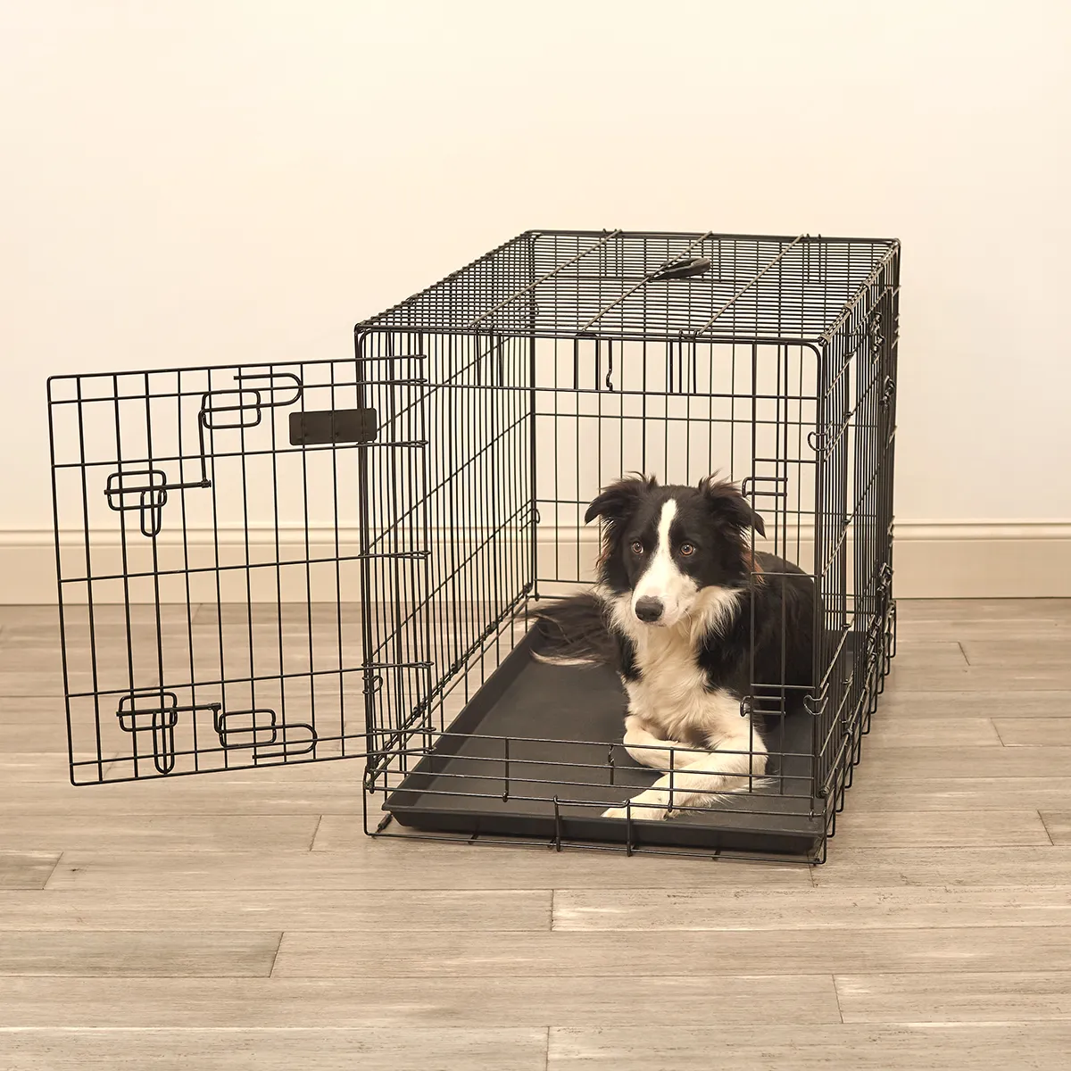 Why a Wire Dog Crate Is Better for Airflow
