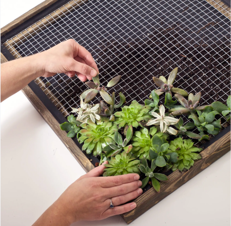 Square wire mesh for erosion control systems