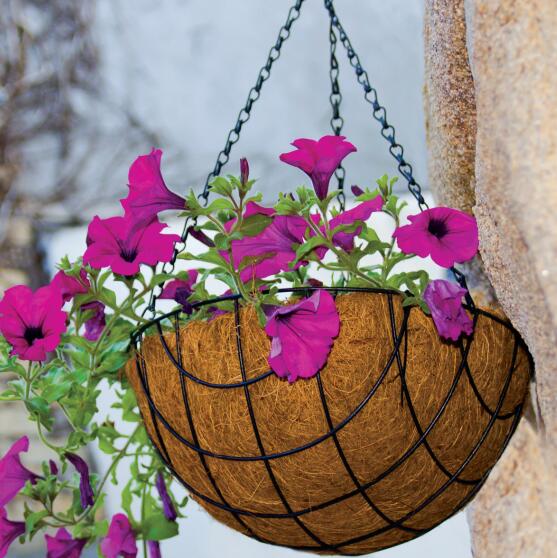 Steel Flower Basket For Vertical Beauty