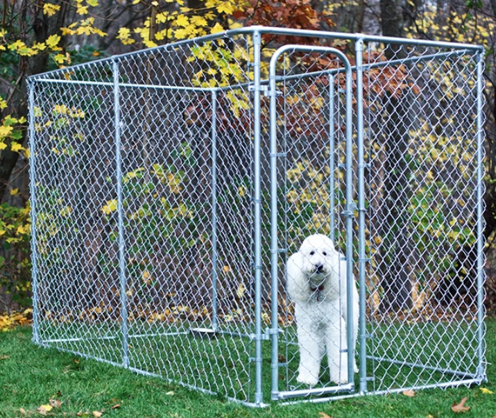 Safe and Fun Pet Enclosures