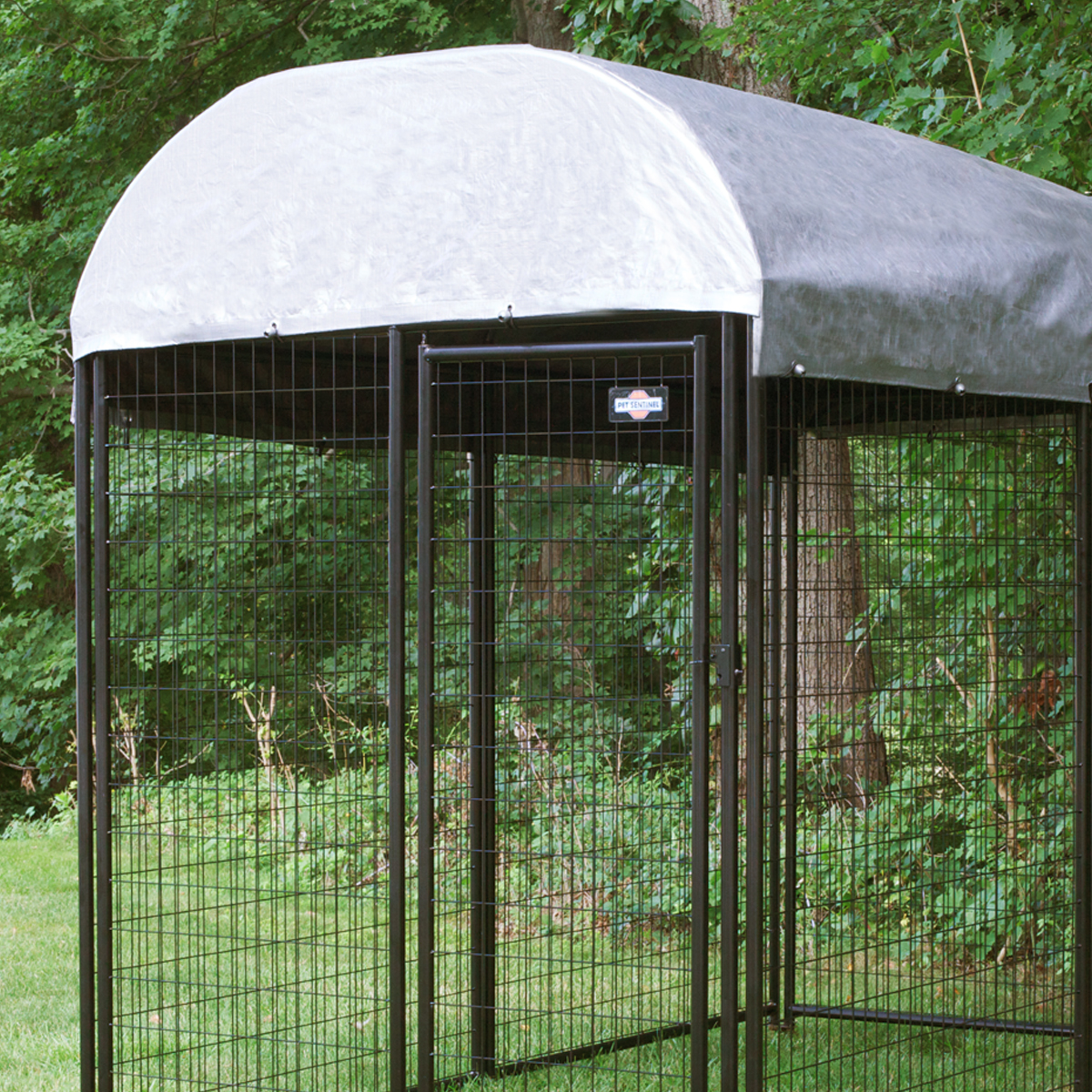 Safe and Fun Pet Enclosures