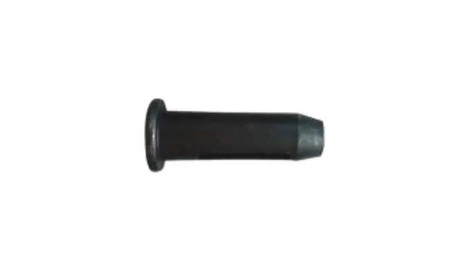 Wedge Bolt