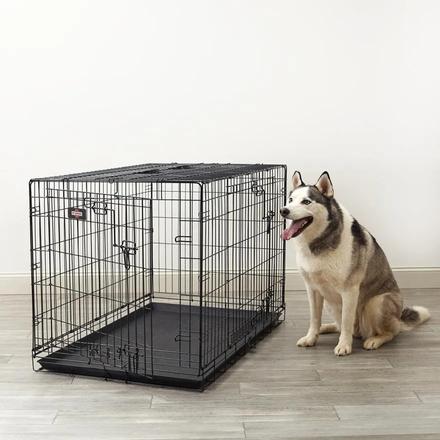 Find the Perfect Wire Dog Cage for Your Pet’s Comfort