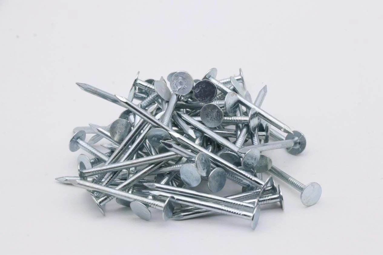 Roofing Nail Guide: Types, Materials, and Applications for Durable Roofing Systems