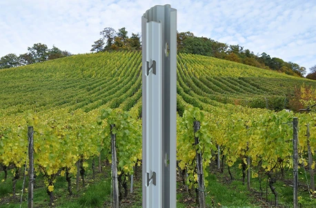 Ideal POST Solutions for Agricultural and Gardening Projects: <br>Best Uses of Vineyard Post and U-Form Support