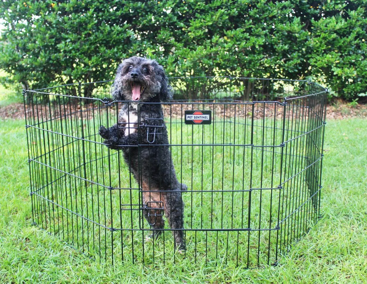 Portable Pet Playpen: A Complete Guide to Safe and Flexible Pet Containment