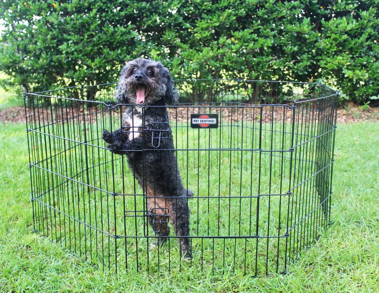 Portable Pet Playpen: A Complete Guide to Safe and Flexible Pet Containment