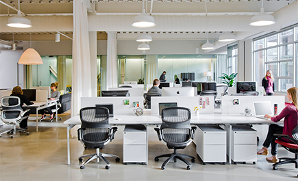 trellis for clematis in pot