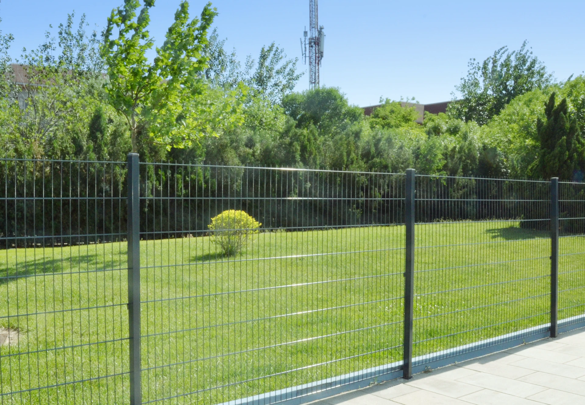 Durable Metal Barbed Wire Fence Posts for Enhanced Security and Longevity Durable Metal Barbed Wire Fence Posts for Enhanced Security and Longevity