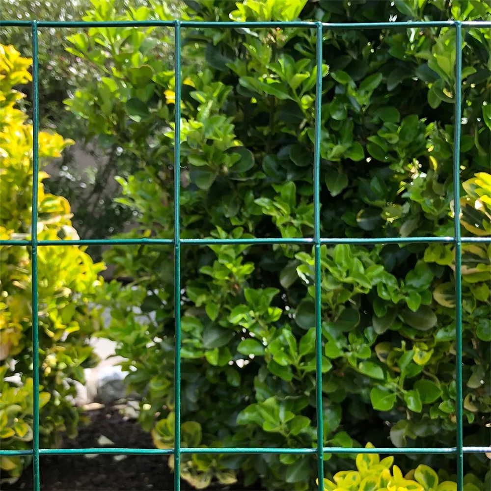 Durable and Versatile Double Chain Link Fencing for Security and Garden Boundaries