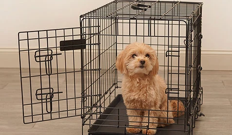 8 फीट की टमाटर कैज बनाने के आसान तरीके और उपयोगी सुझाव