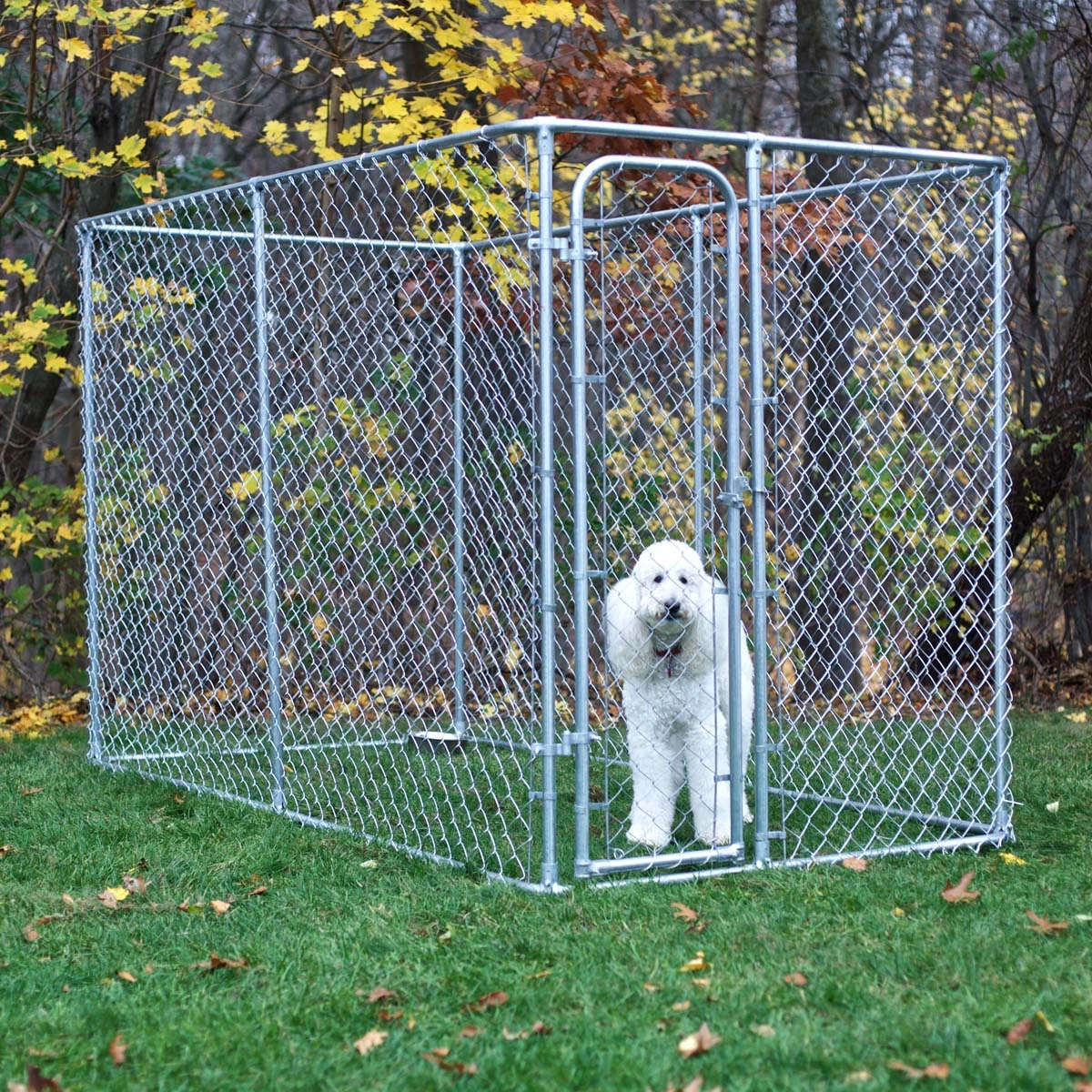 Advantages Of Dog Kennels