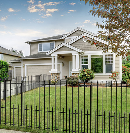 Exploring the Vibrant Growth of Spring Foliage at 26 Percent Leaf Coverage