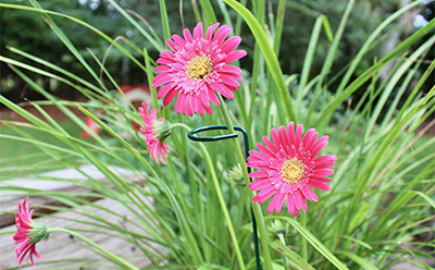 straightcurve garden edging