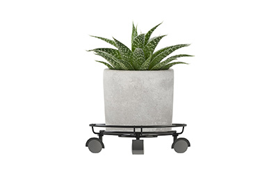 អង់ក័រ​ផ្ទៃ​ខាង​ក្រោយ dirtbolt & # 160; ។