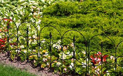 42 inch wire dog crate with adjustable divider for easy size customization and comfort 42 inch wire dog crate with adjustable divider for easy size customization and comfort