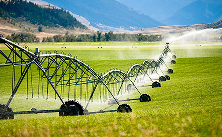 regały paletowe na sprzedaż