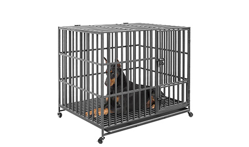 Movable Cage