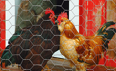 Hexagonal Wire Netting