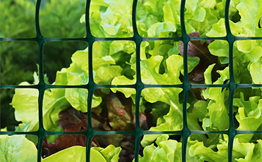 4x10 chain link gate