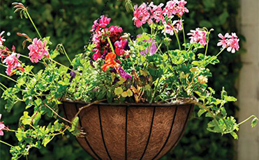 Serene Retreat in the Cedar Garden Arbor for Peaceful Moments